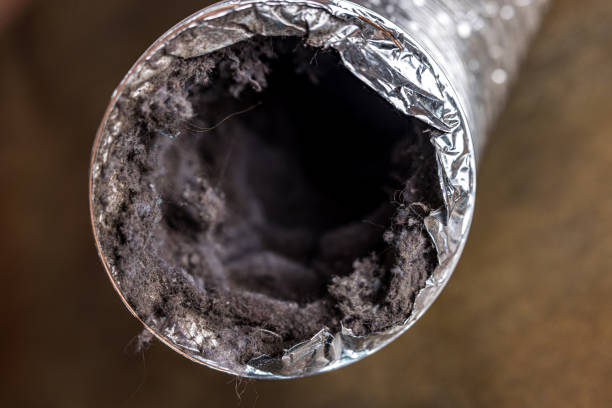 Best HVAC System Cleaning  in Levelland, TX