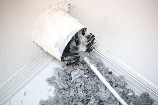 Air Duct Mold Removal in Levelland, TX